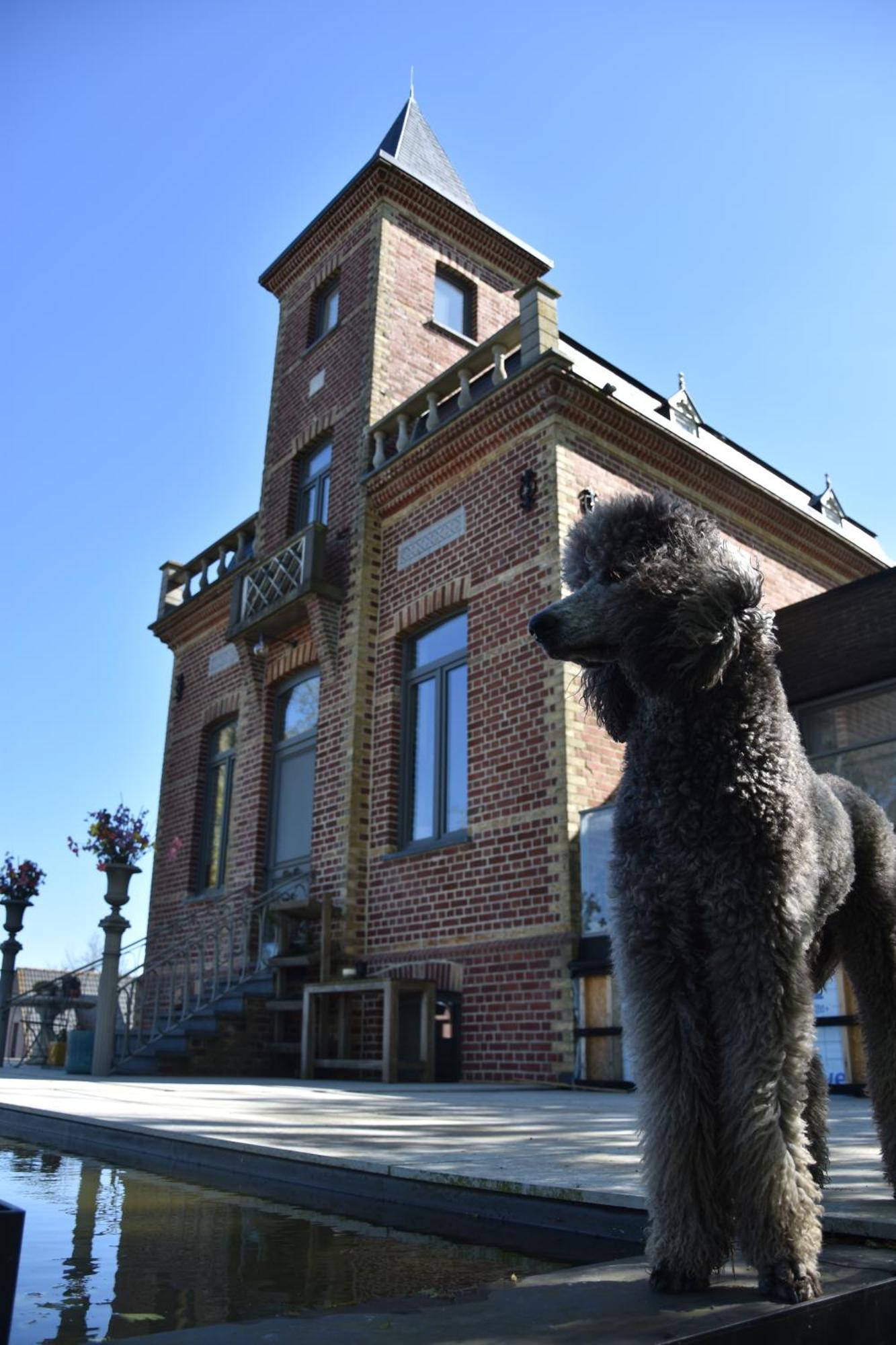 Terp Poperinge Exterior foto