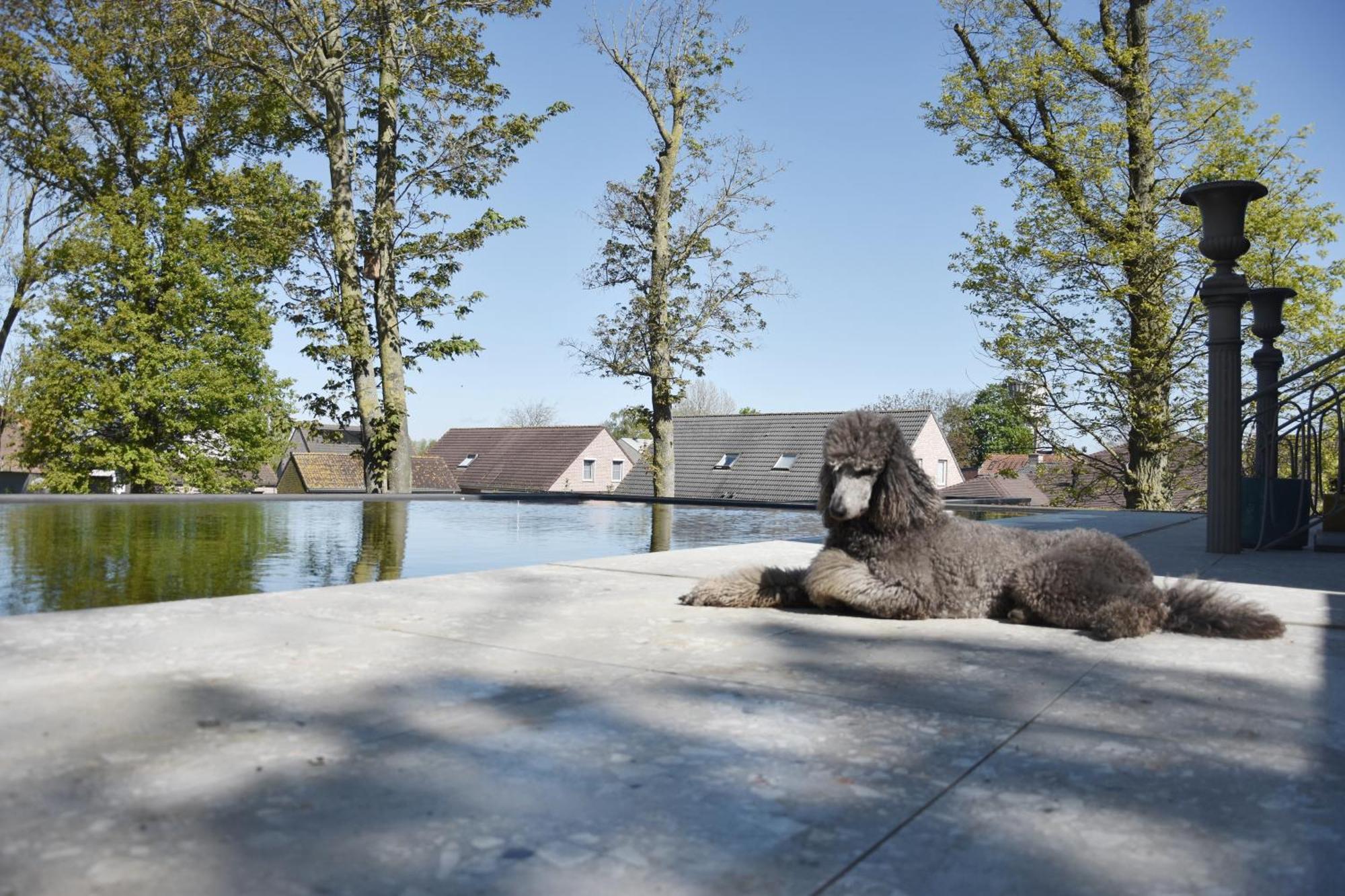 Terp Poperinge Exterior foto
